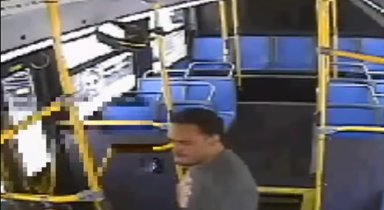 punching-bus-rider