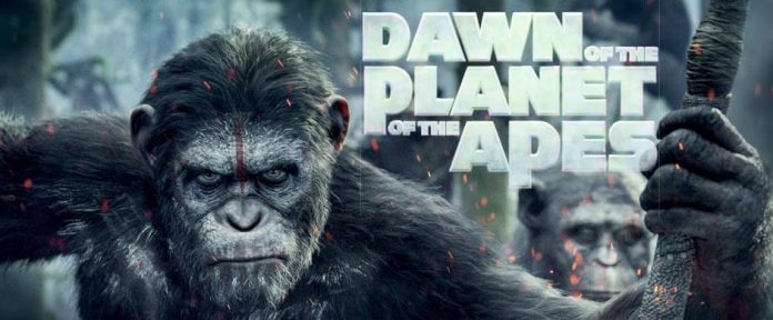 ape1