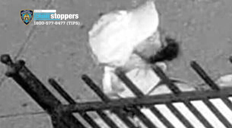 Image via NYPD Crime Stoppers (@NYPDTips) Twitter.