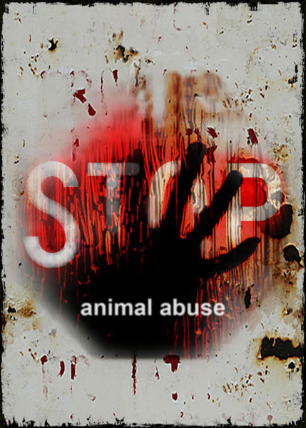 stop11.jpg stop11.jpg